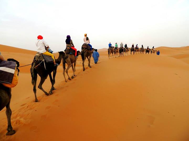 2 DAYS CAMEL TREK